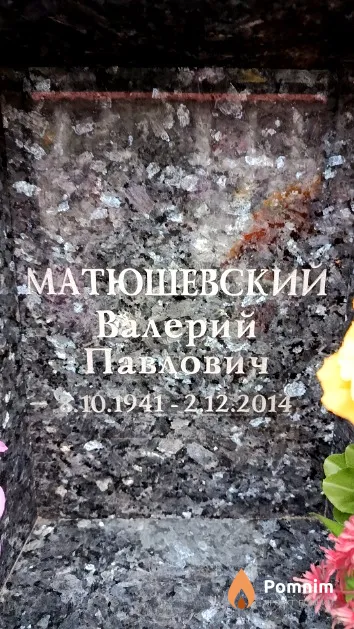Матюшевский Валерий Павлович