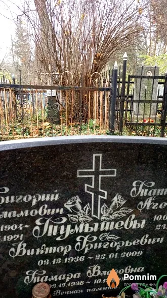 Тумышев Виктор Григорьевич