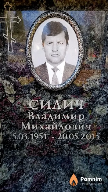 Силич Владимир Михайлович