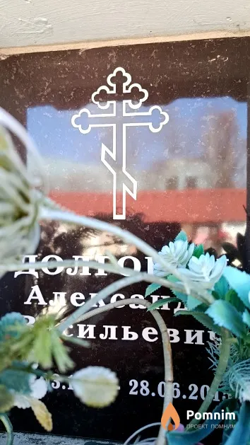 Долгович Александр Васильевич