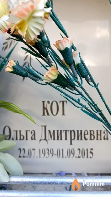 Кот Ольга Дмитриевна