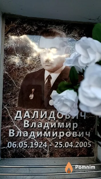 Далидович Владимир Владимирович