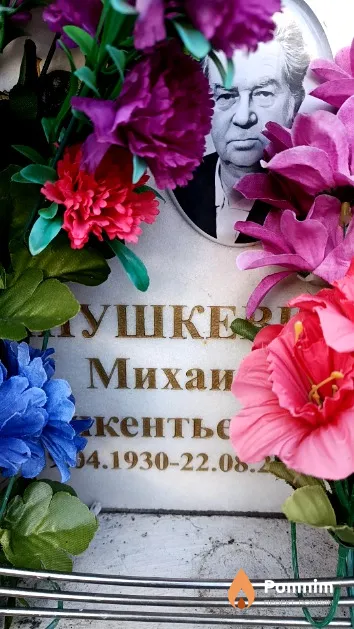 Янушкевич Михаил Викентьевич