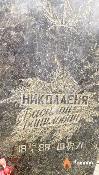Николаеня Василий Данилович