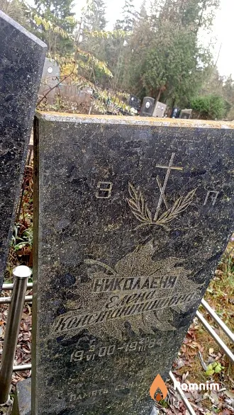 Николаеня Елена Константиновна