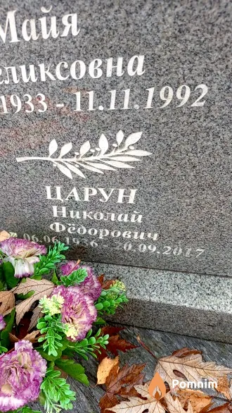 Царун Николай Федорович