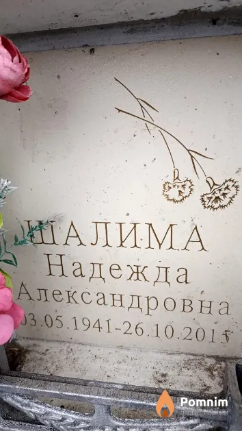 Шалима Надежда Александровна