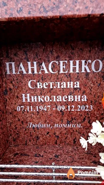 Панасенко Светлана Николаевна