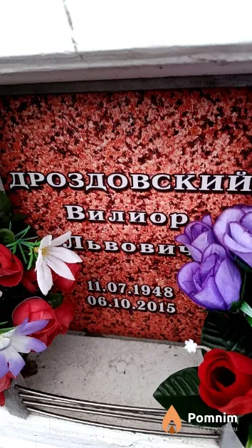 Дроздовский Вилиор Львович