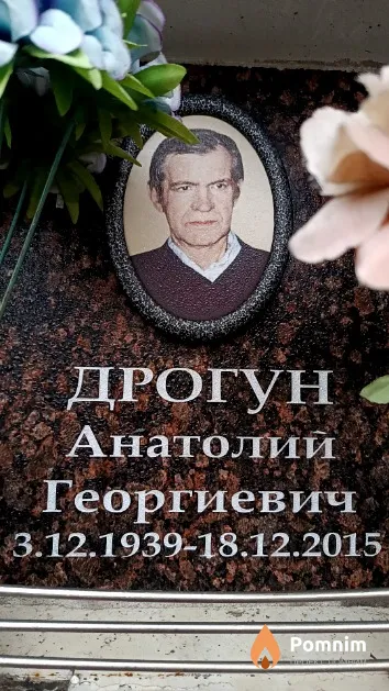 Дрогун Анатолий Георгиевич