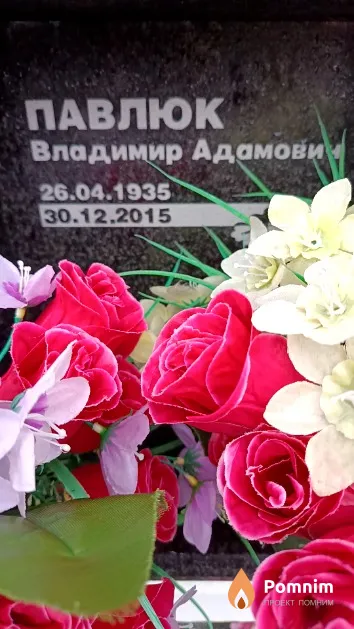 Павлюк Владимир Адамович
