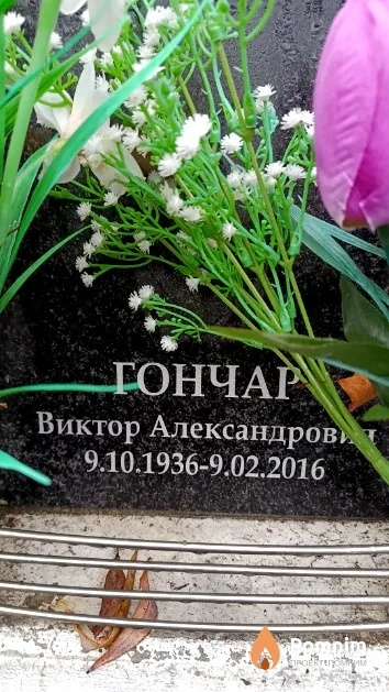 Гончар Виктор Александрович