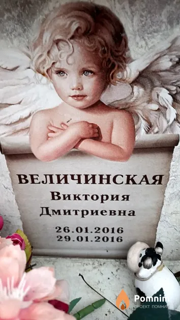Величинская Виктория Дмитриевна