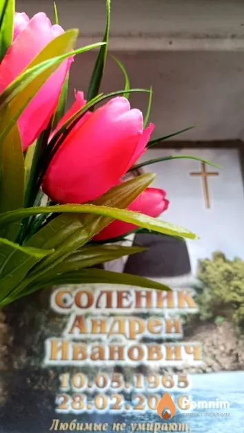 Соленик Андрей Иванович