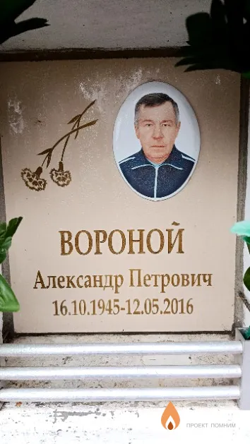 Вороной Александр Петрович