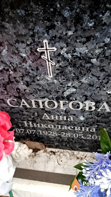 Сапогова Анна Николаевна