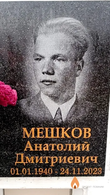 Мешков Анатолий Дмитриевич
