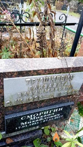 Трушкевич Елизавета Владимировна