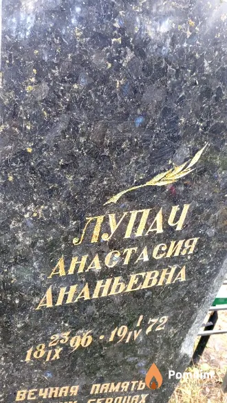 Лупач Анастасия Ананьевна