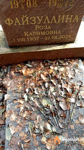 Файзуллина Роза Каримовна