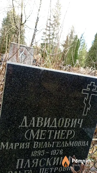 Давидович (Метнер) Мария Вильгельмовна