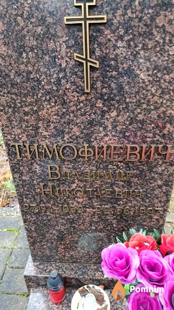 Тимофиевич Владимир Николаевич