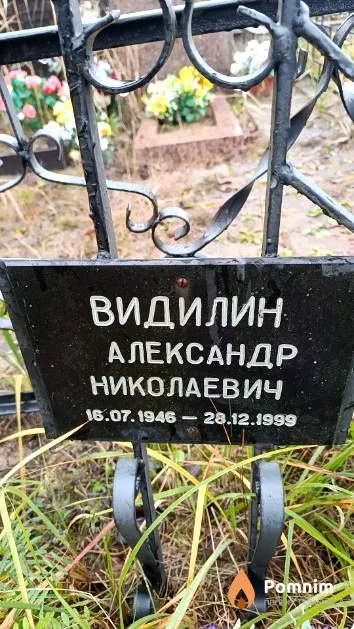 Видилин Александр Николаевич