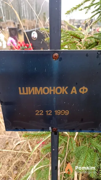 Шимонок А. Ф.
