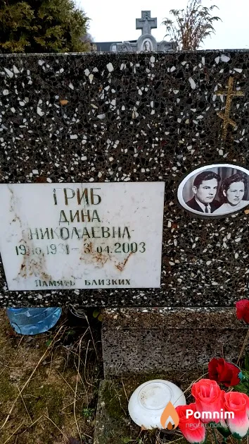 Гриб Дина Николаевна