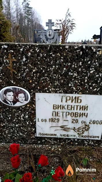 Гриб Викентий Петрович