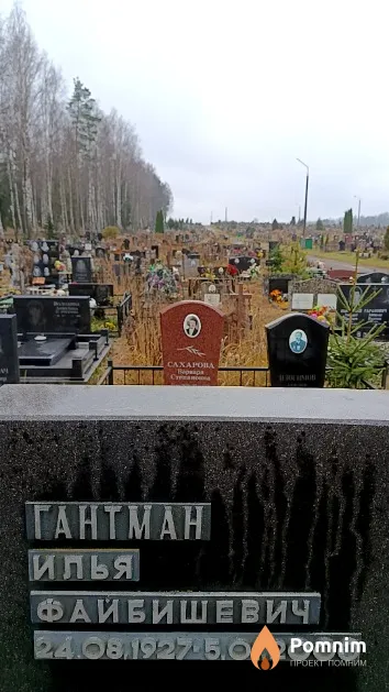 Гантман Илья Файбишевич