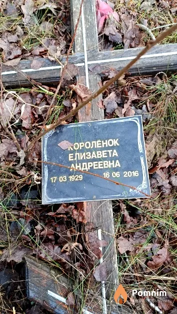 Королёнок Елизавета Андреевна