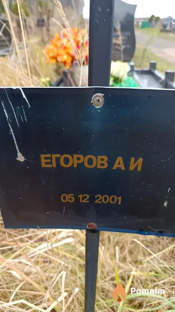 Егоров А. И.