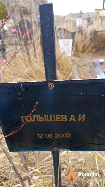 Голышев А. И.