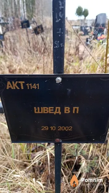 Швед В. П.