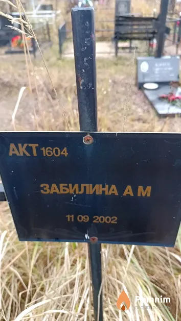 Забилина А. М.