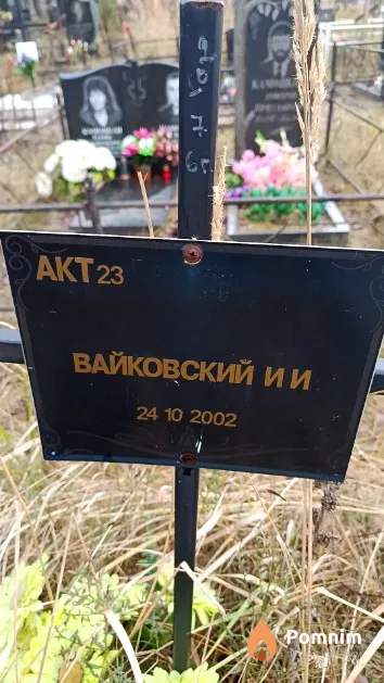 Вайковский И. И.
