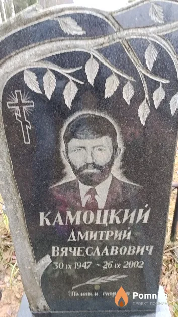 Камоцкий Дмитрий Вячеславович