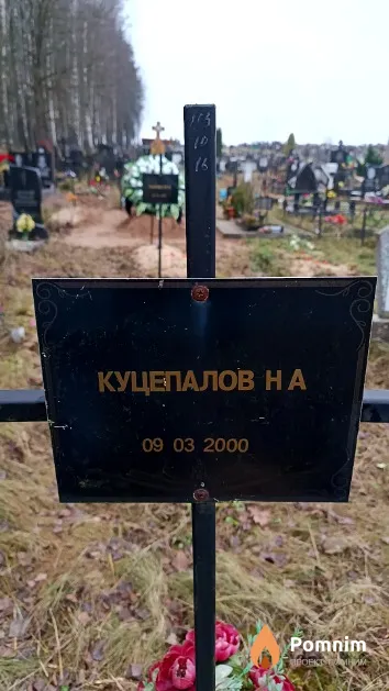 Куцепалов Н. А.
