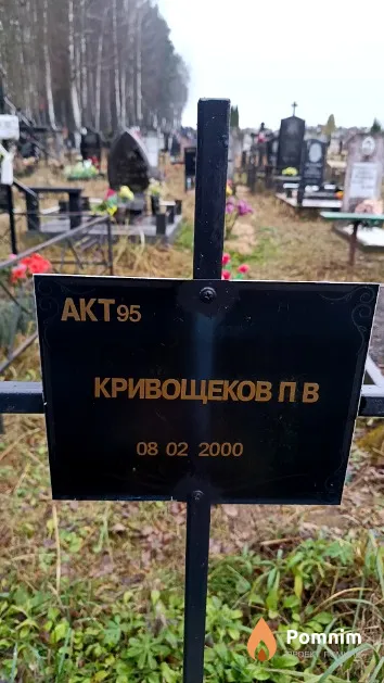 Кривощеков П. В.