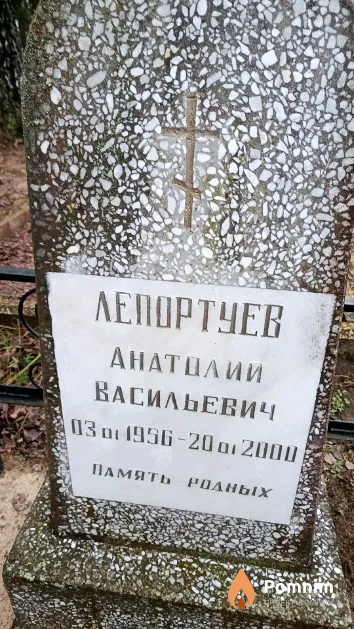 Лепортуев Анатолий Васильевич