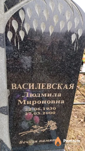 Василевская Людмила Мироновна