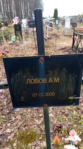 Лобов А. М.