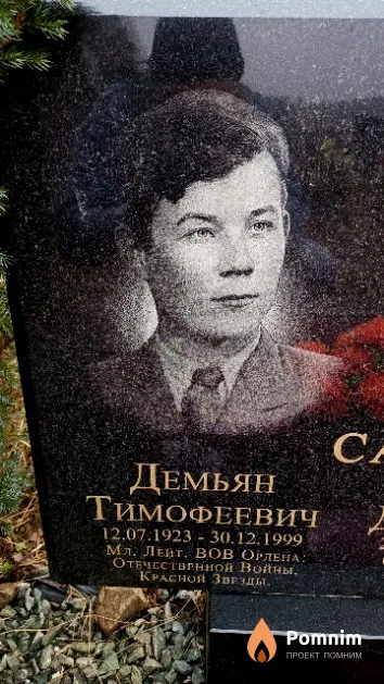 Савостин Демьян Тимофеевич