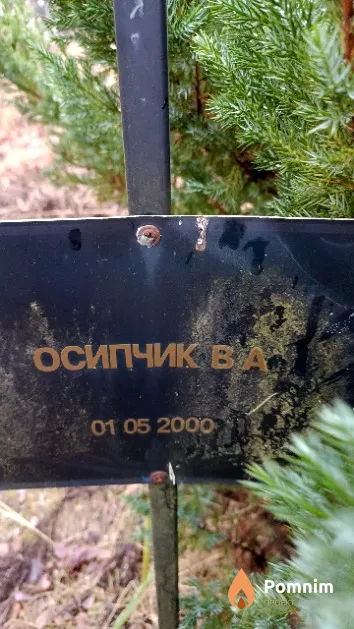 Осипчик В. А.