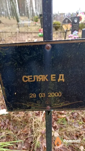 Селяк Е. Д.