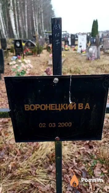 Воронецкий В. А.