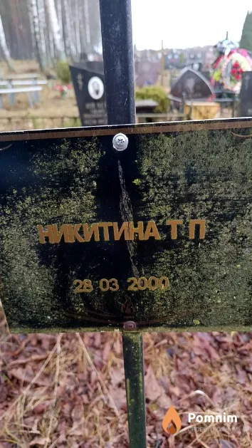 Никитина Т. П.
