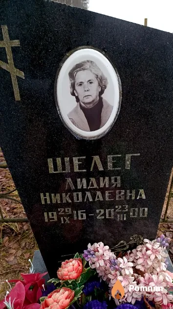 Шелег Лидия Николаевна