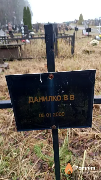 Данилко В. В.